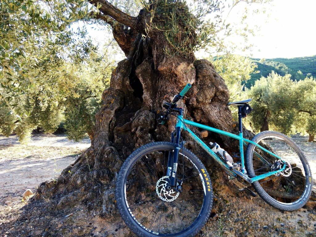 Trans Terra Alta Btt